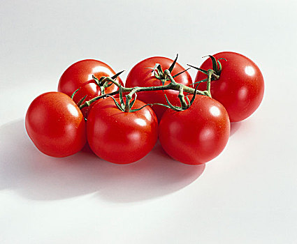西红柿,番茄,品种,抠像,食物,单独,新鲜,果蔬,水果