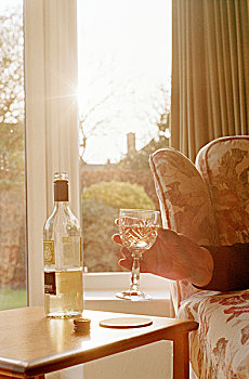 手臂,蛇,坐,扶手椅,举起,玻璃,葡萄酒,生活,生活方式,房间,迟,下午,阳光