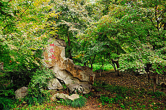 赏枫胜地,南京栖霞山