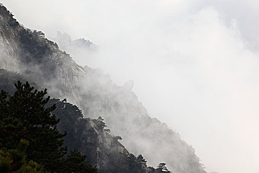 山,云海,雾
