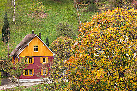 德国,黑森林,俯视图,农舍,秋天