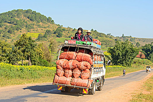 卡劳,乡村道路,卡车,包,橘子,掸邦,缅甸