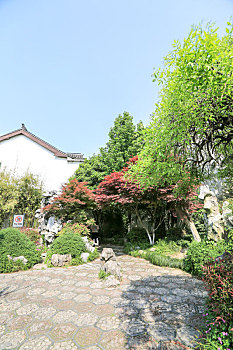 江苏水乡周庄张厅后花园