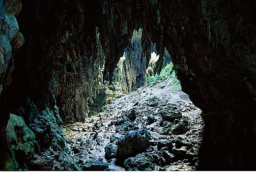 洞穴,入口,菲律宾