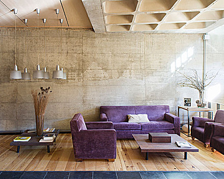 紫色,沙发,客厅,混凝土墙,木地板