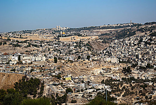 以色列,耶路撒冷,风景,东方,西部,道路