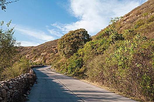 山中的道路