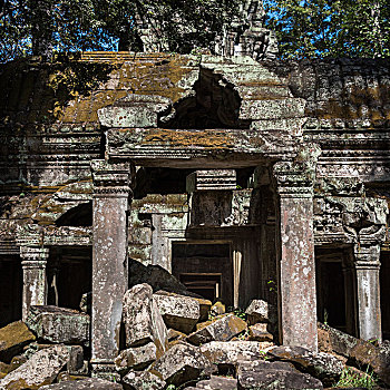 遗址,庙宇,收获,柬埔寨