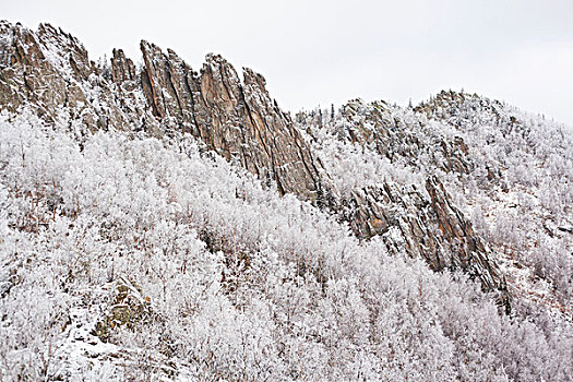 积雪,树林,山,乡村,俄罗斯