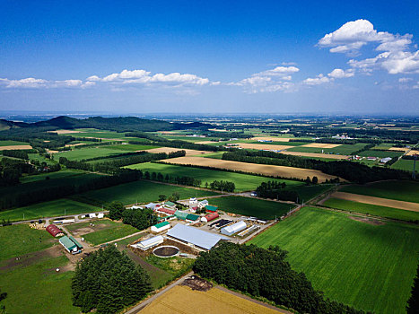 航拍,北海道,日本