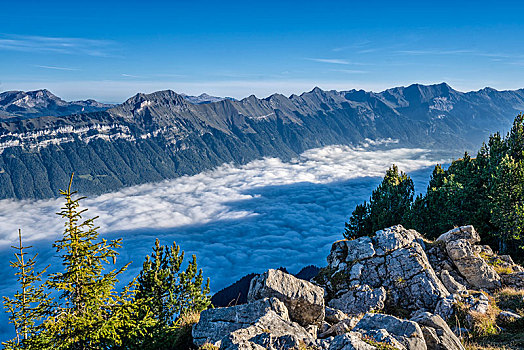 湖,布里恩茨,雾,风景,普拉特河,美国,伯尔尼阿尔卑斯山,瑞士,欧洲