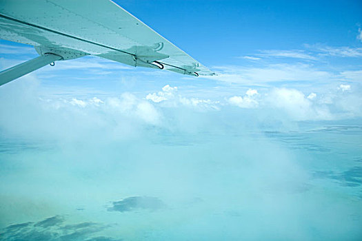 飞机,俯视,海洋,伯利兹