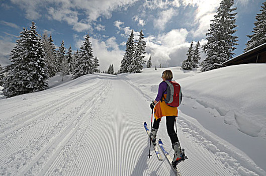 女人,旅游,滑雪,靠近,越野滑雪,萨尔茨堡,区域,北方,石灰石,阿尔卑斯山,奥地利,欧洲