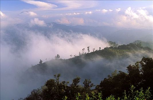 印度尼西亚,爪哇,薄雾,山峦