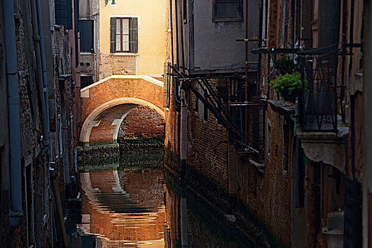 桥,照亮,阳光,威尼斯,运河,意大利