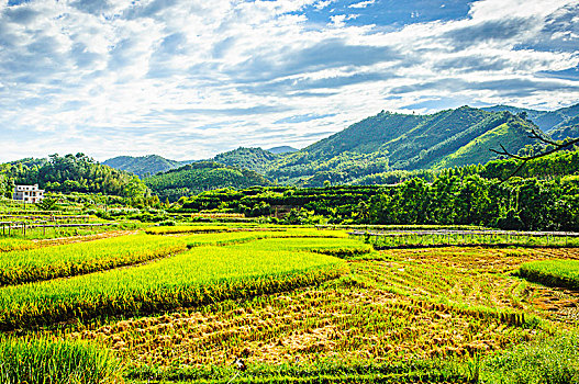 山岭秋色