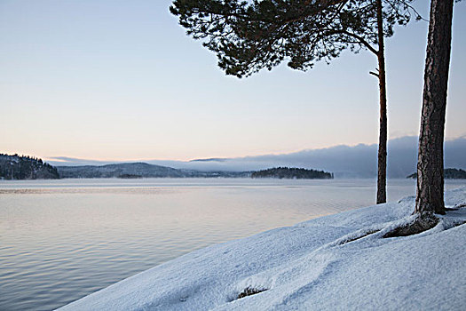 雪景,特隆赫姆,挪威
