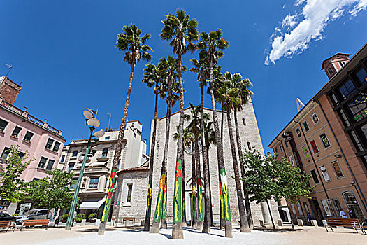棕榈树,赫罗纳,西班牙