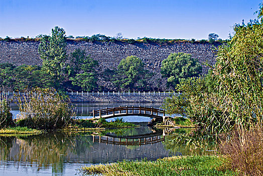 江苏省南京市紫金山景区湿地自然景观