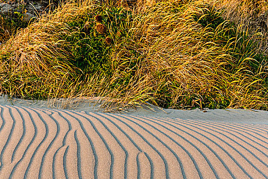沙子,图案,海滩,岬角,州立公园,俄勒冈,美国