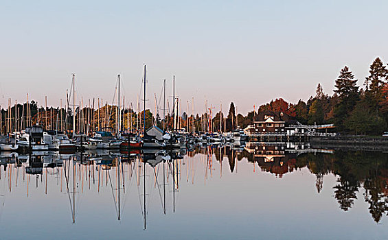 帆船,温哥华,不列颠哥伦比亚省,加拿大