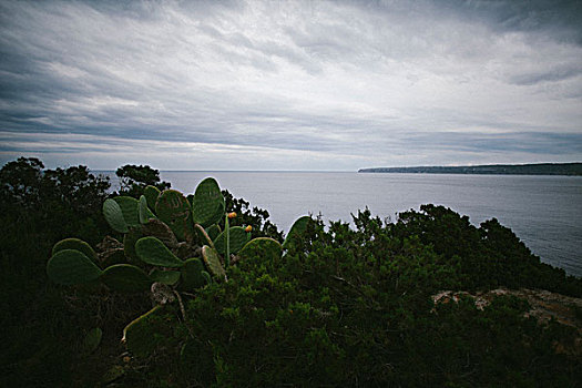 悬崖,福门特拉岛
