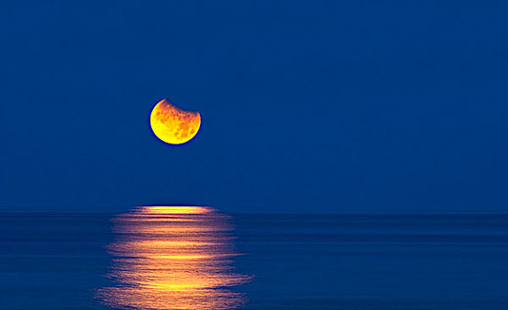 月亮,上方,海湾地区,墨西哥,早晨,六月