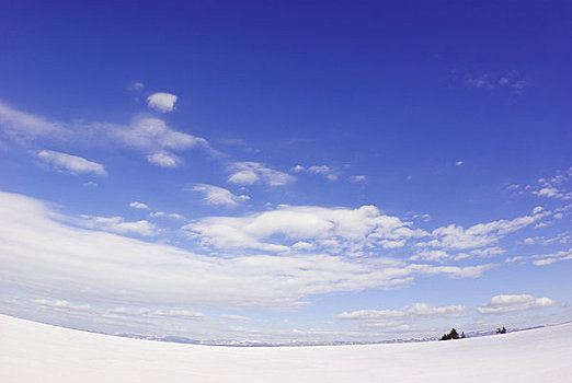 云,漂浮,高处,雪原