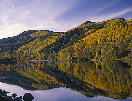 苏格兰,秋天,场景,山林