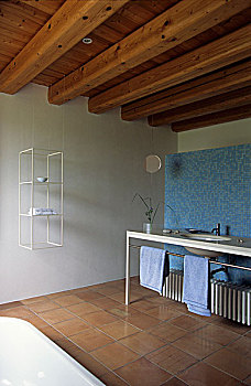 淡蓝色,镶嵌图案,砖瓦,浴室,精美,悬挂,吊顶