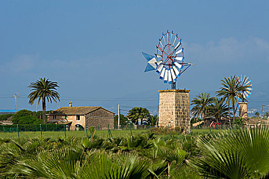 风车,马略卡岛,巴利阿里群岛,西班牙,欧洲