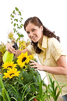 园艺,女人,泼洒,水,向日葵,花