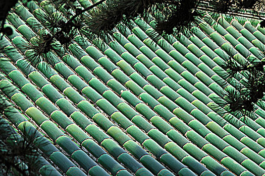 北京戒台寺的绿色琉璃瓦