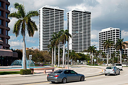 广场,棕榈树,市区,西部,棕榈海滩,天际线