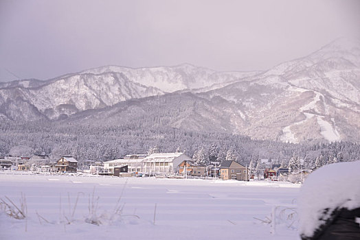 风景,雪