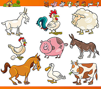 家畜,卡通,插画