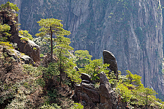 黄山,自然风光