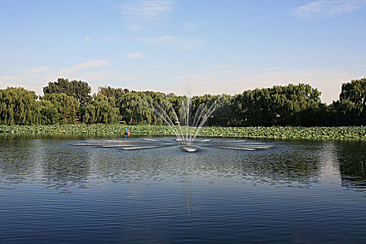 喷泉,湖,北京,圆明园