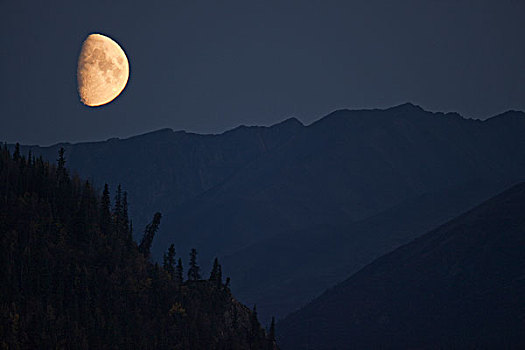 月出,靠近,德纳里峰国家公园,入口,室内,阿拉斯加,秋天