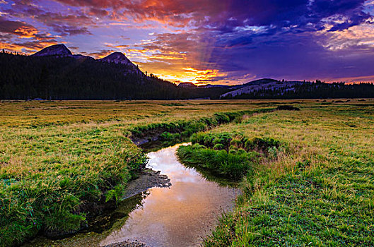 日落,上方,草地,溪流,加利福尼亚,美国