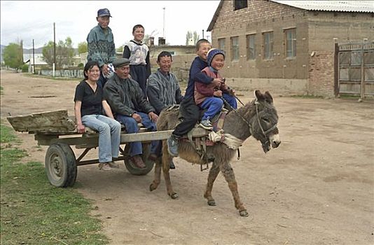 家庭,驴,手推车,区域,哈萨克斯坦