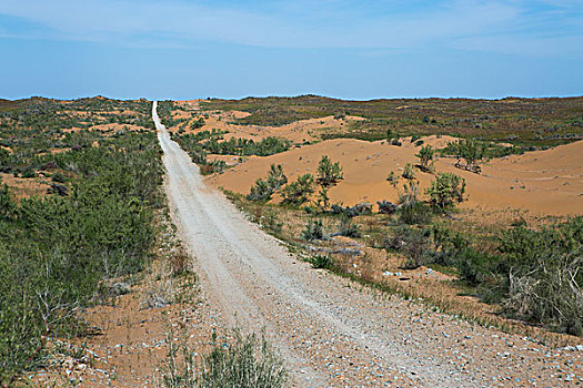 乌兹别克斯坦沙漠公路