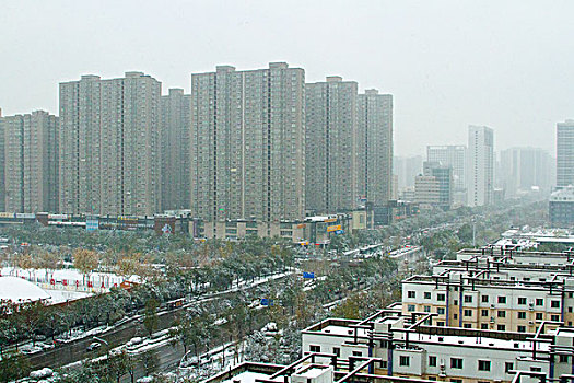 城市雪景