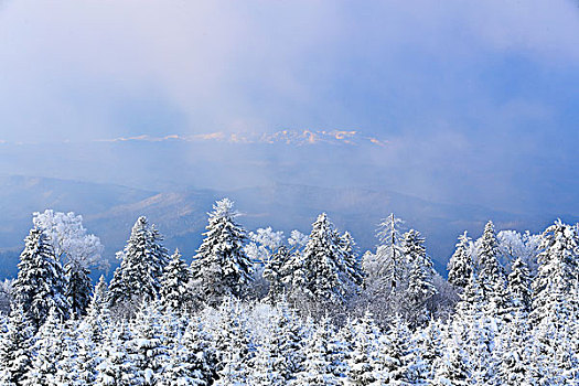 吉林省仙峰国家森林公园雪凇雪景