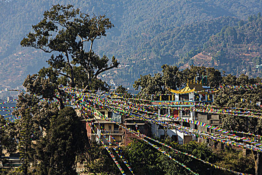 尼泊尔斯瓦杨布纳寺