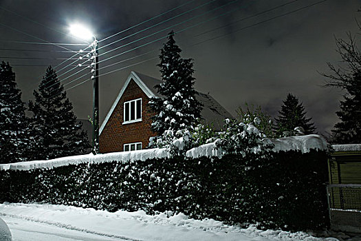 积雪,灌木,房子