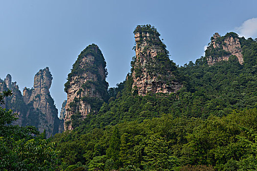 砂岩,柱子,山,张家界,武陵源,景色,历史,兴趣,区域,湖南,省,中国,亚洲