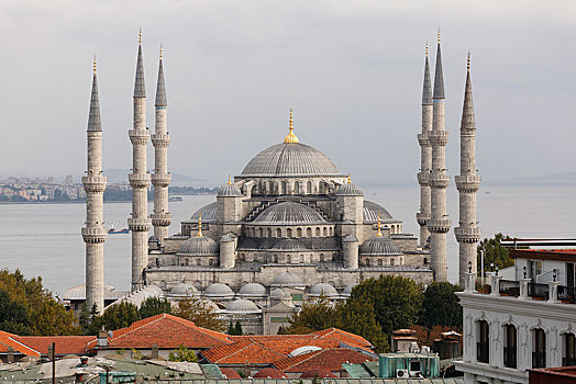 蓝色清真寺,苏丹,清真寺,藍色清真寺,伊斯坦布尔,欧洲,省,土耳其