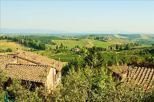 俯拍,房子,葡萄园,背景,锡耶纳省,托斯卡纳,意大利