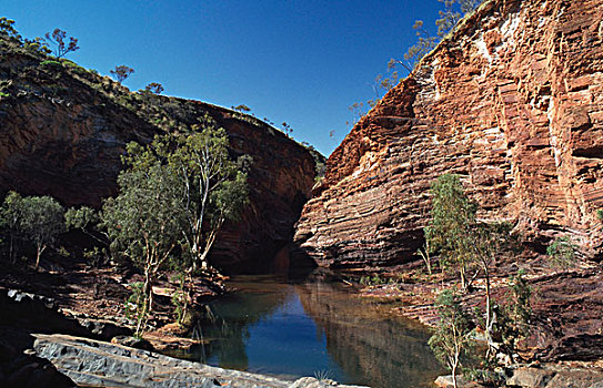 反射,悬崖,水中,峡谷,卡瑞吉尼国家公园,西澳大利亚,澳大利亚
